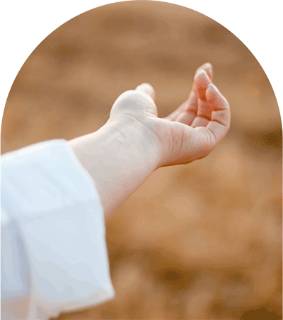 Fina Ferre: Otros proyectos