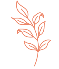 Fina Ferre: Formación